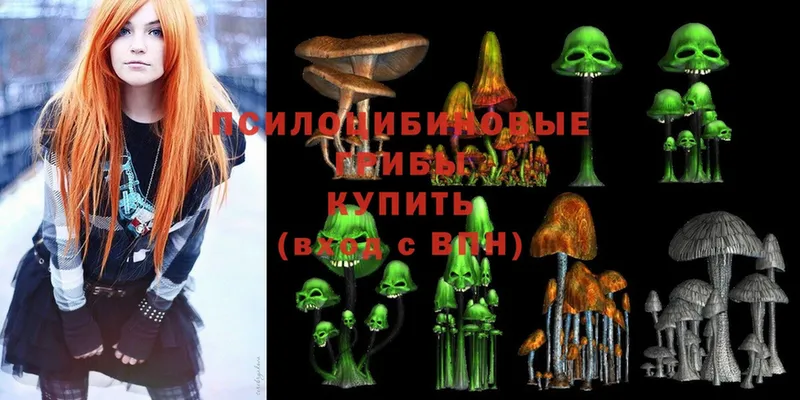 hydra зеркало  где купить наркоту  Оханск  Галлюциногенные грибы Cubensis 